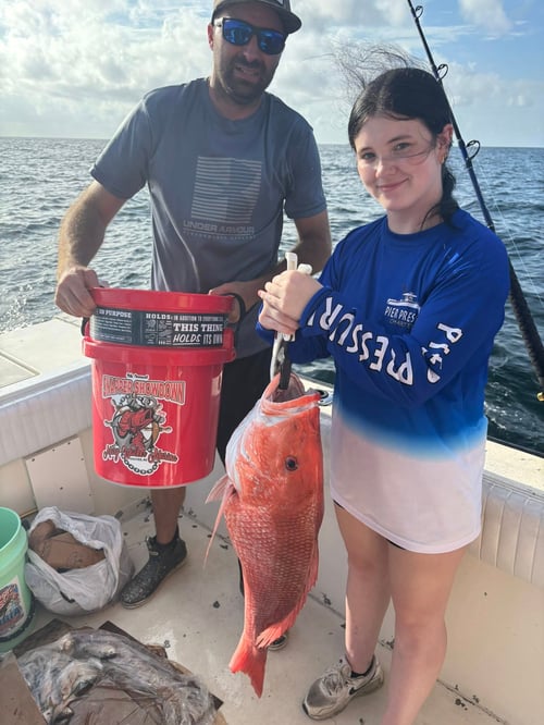 6-8HR Red Snapper
