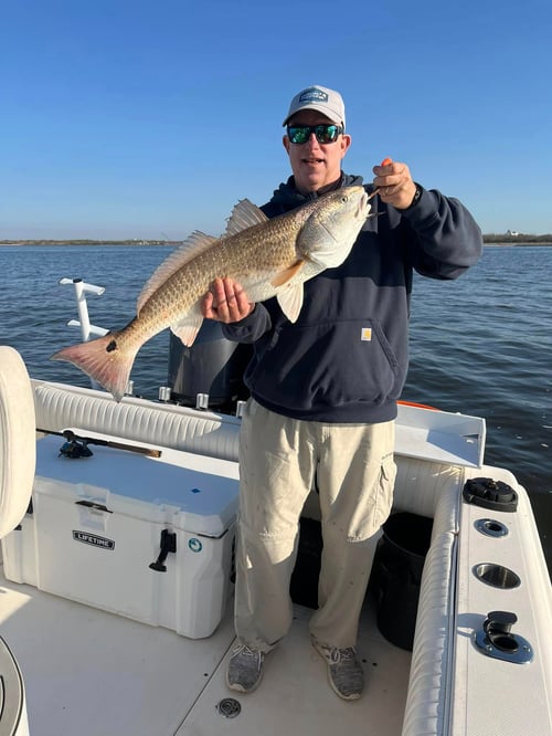 4-6 Hour Trip – Inshore/Island