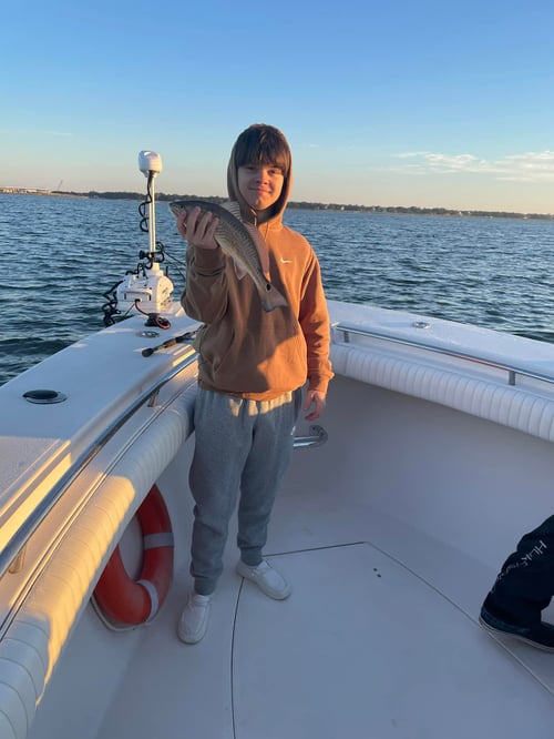 4-6 Hour Trip – Inshore/Island