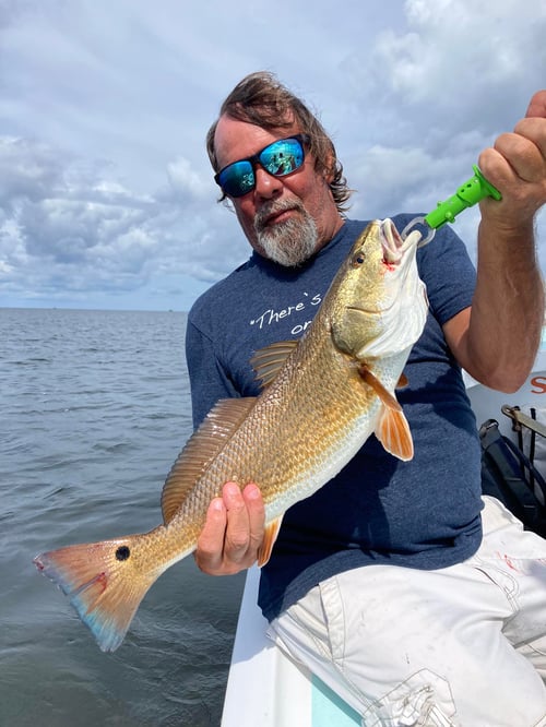 4 Hours Fishing Trip