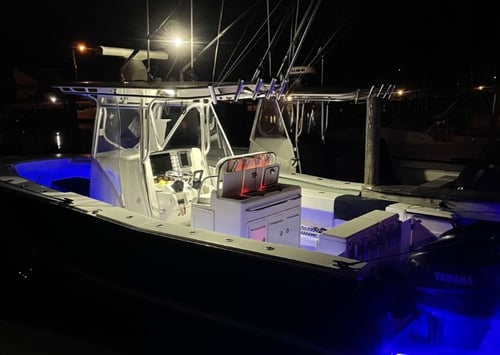 Offshore Canyon Tuna