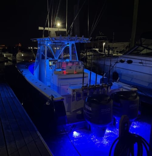 Midshore Tuna (65Mi)