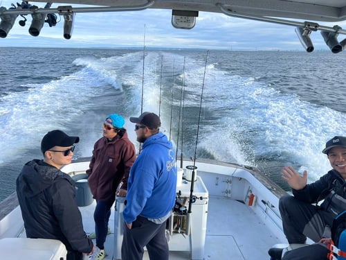 Fluke Fishing Trip