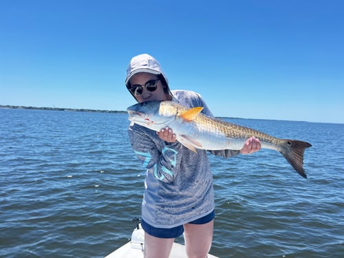 4hr morning trip 