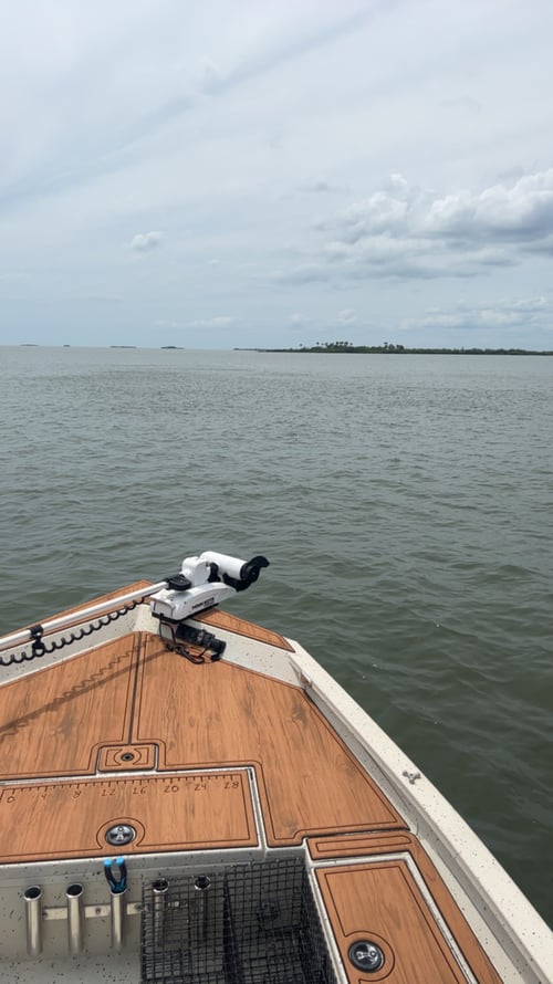 Inshore fishing 