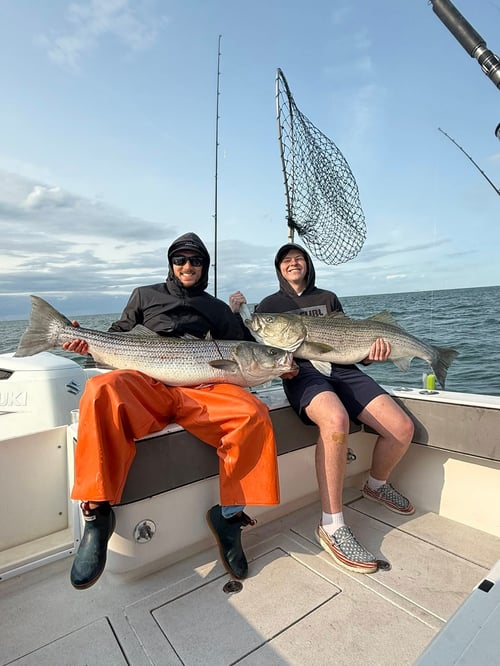 5-6 Hour Trip – Striped Bass