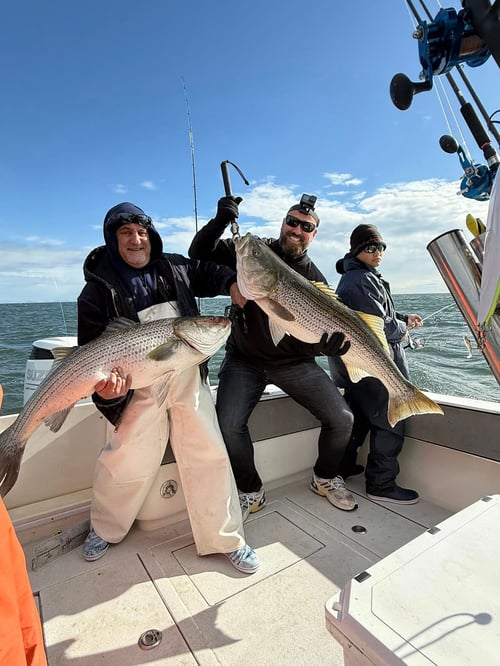 5-6 Hour Trip – Striped Bass