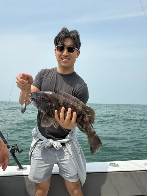 8 hour blackfish (tautog)