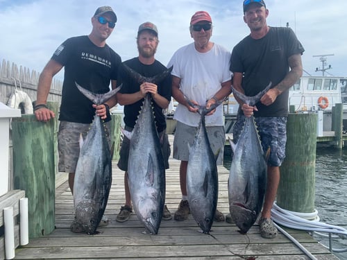 Tuna (BFT & YFT) 