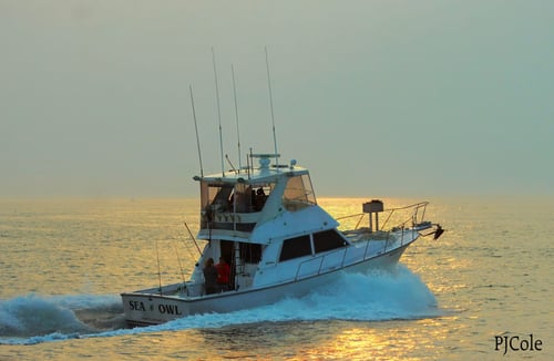 Offshore Canyon Adventure