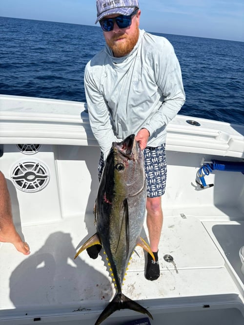 Full day Offshore trip