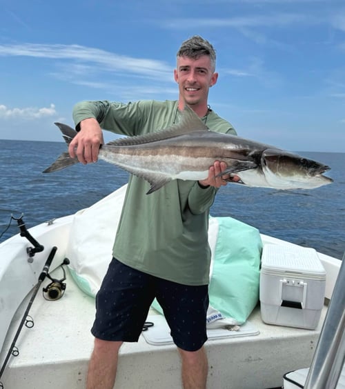 REEL DRAG OFFSHORE fISHING