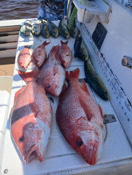 OFFSHORE Reef and Wreck fishing