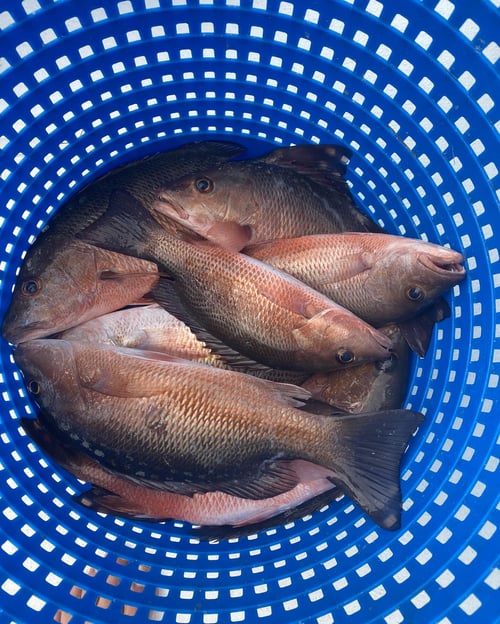 Nearshore Fishing