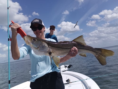 Half day charter (4-Hour) AM