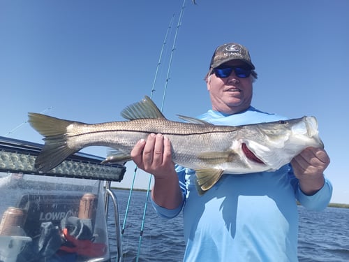 Half day charter (4-Hour) AM