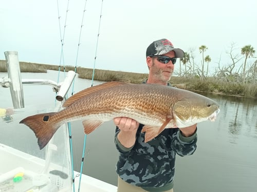 Half day charter (4-Hour) AM