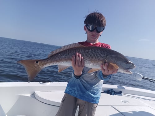 Half day charter (4-Hour) AM