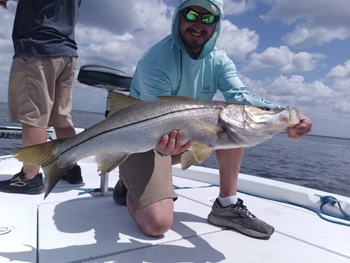 Half day charter (4-Hour) AM