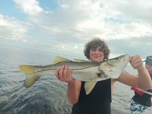Half day charter (4-Hour) AM