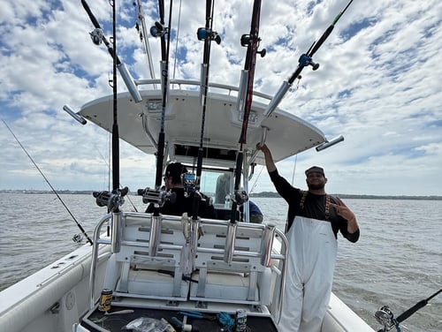 4-6 Hour Inshore Trip