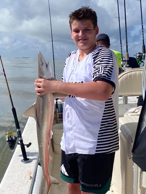 3/4 Day Trip – Shark