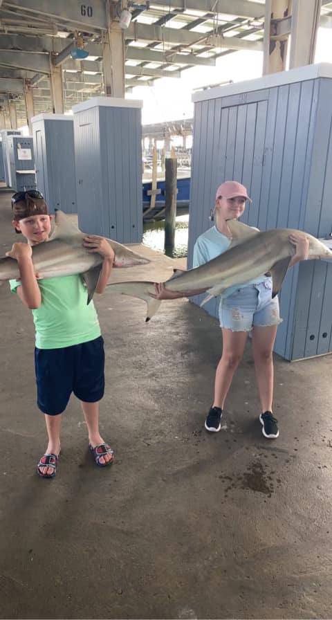 3/4 Day Trip – Shark