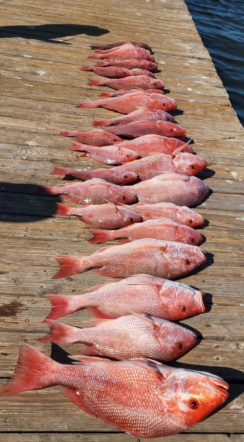 South Texas State Waters Offshore 