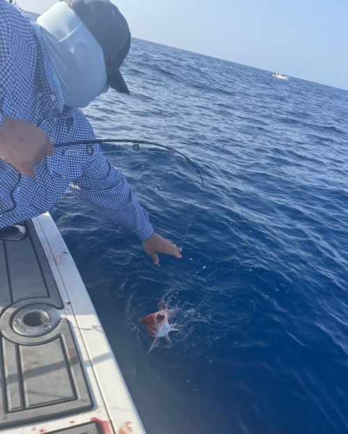 South Texas State Waters Offshore 