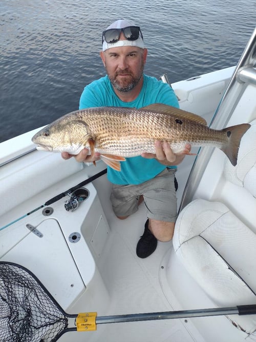 (4hr) Inshore Seatrout/Redfish