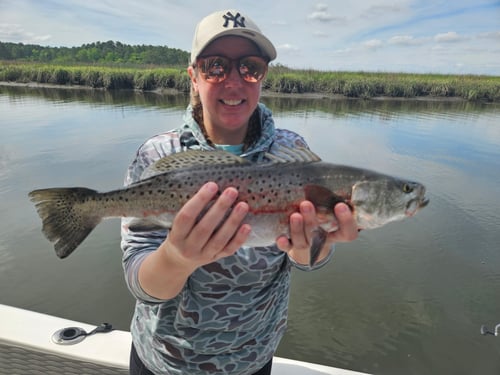 (4hr) Inshore Seatrout/Redfish