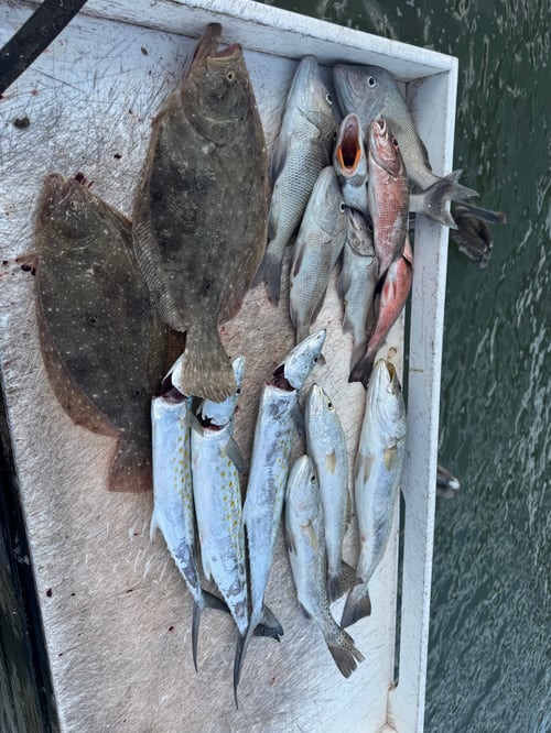4-6 Hr Nearshore Trip