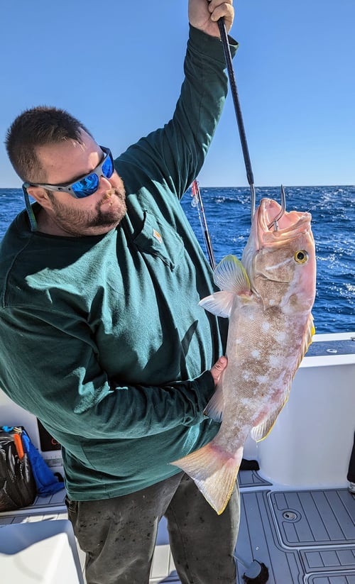 8-12 Hour Offshore Trip