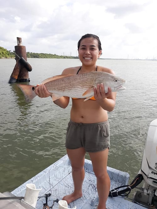 Full Day Baytown Slam