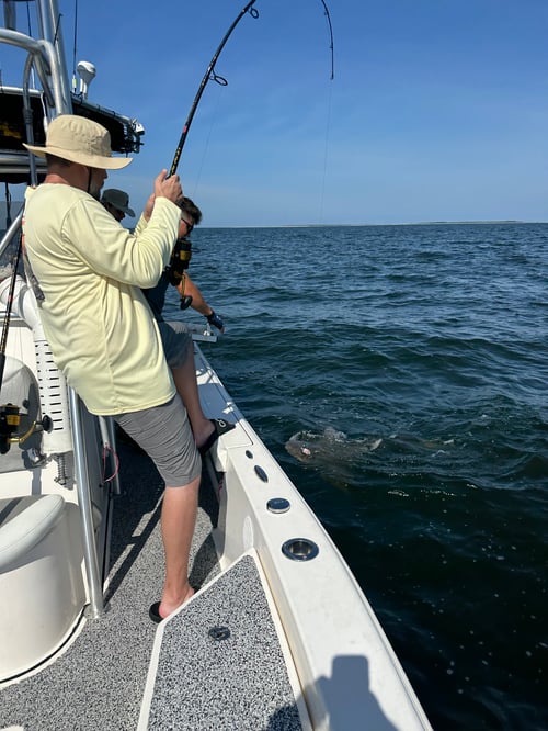 6 to 8 hour MS & LA Tarpon Charter