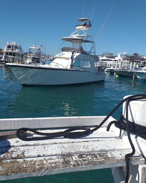 4-8 Hour Offshore Trip