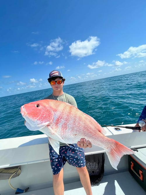 8 Hour Trip – Snapper Adventure