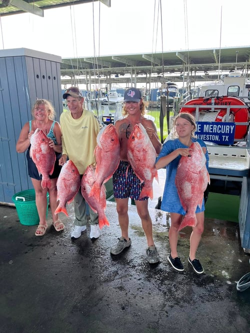 8 Hour Trip – Snapper Adventure