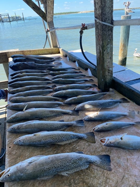 Aransas Pass Fishing Charters