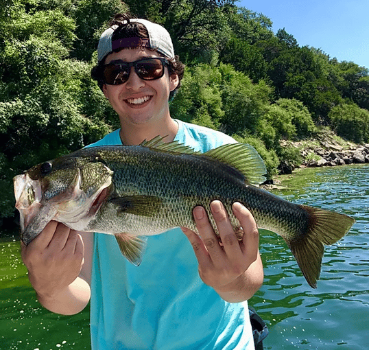 lake travis fishing guides bass