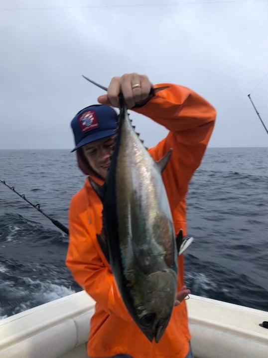 texas blackfin tuna