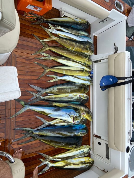 Costa Rica Fishing Charters
