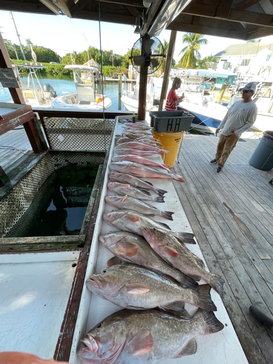 Key West Fishing Charters 6