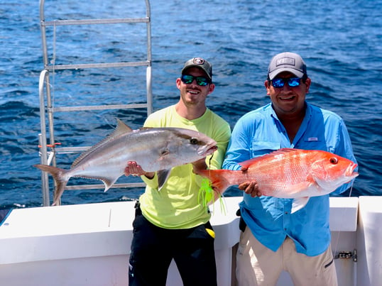 amberjack and snapper