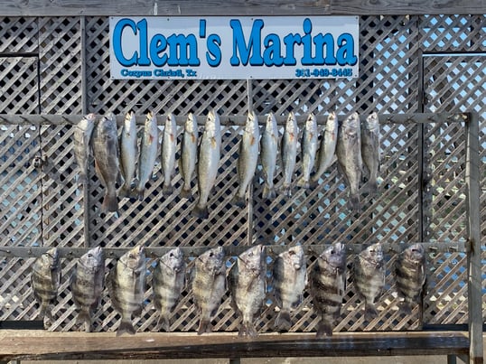 Corpus Christi Fishing Charters 8