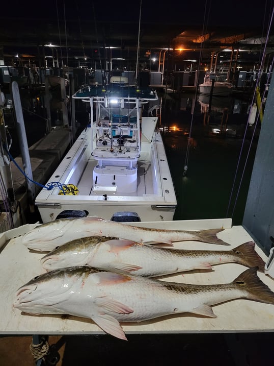 Galveston Fishing Charters 6