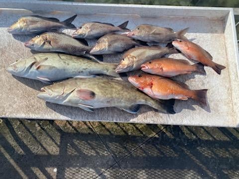 Clearwater Fishing Charters 5