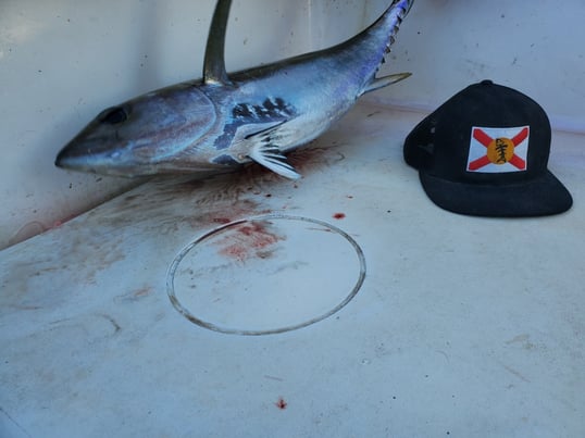 Pompano Beach Fishing Charters