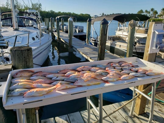 Fort Myers Fishing Charters 20