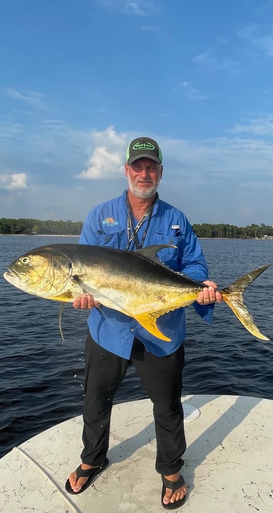another-jack-crevalle